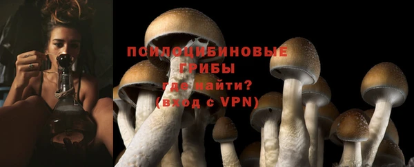 прущий лед Лиски