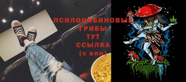 прущий лед Лиски