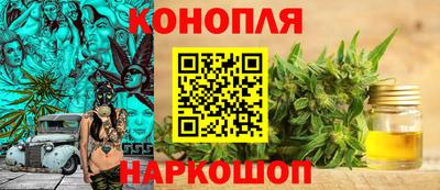 ECSTASY Гай