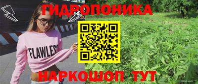 соль курить ск Гатчина