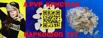 ECSTASY Гай