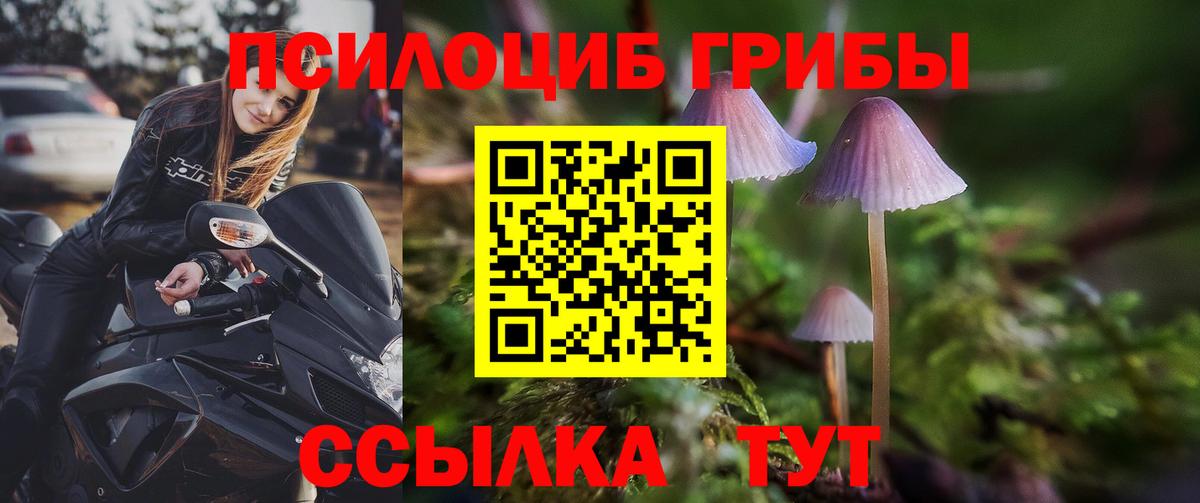 Новокузнецк  Галлюциногенные грибы Psilocybine cubensis  Вход с VPN  Псилоцибиновые грибы мухоморы 